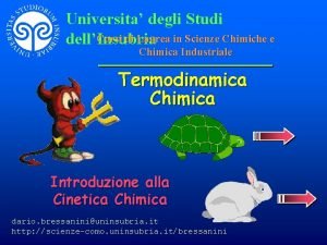 Universita degli Studi Corsi di Laurea in Scienze