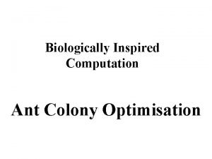 Biologically Inspired Computation Ant Colony Optimisation Swarm Algorithms