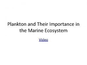 Phytoplankton zooplankton