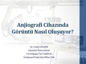 Prof dr fatih gülşen
