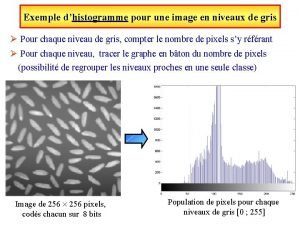 Histogramme cumulé d'une image