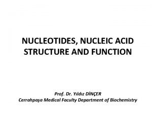 Properties of nucleotide
