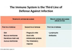 Immune system lines of defense