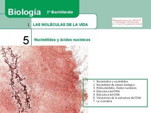 Biologa 2 Bachillerato I LAS MOLCULAS DE LA