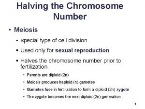 Halving the Chromosome Number Meiosis Special type of