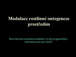 Modulace rostlinn ontogeneze prostedm Rozvrhovn postembryonlnho vvoje je