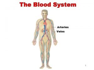 The Blood System Arteries Veins 1 Objectives After