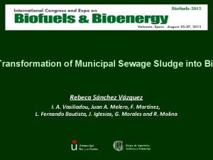 Transformation of Municipal Sewage Sludge into Bi Rebeca