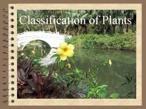 Classification of plants flowering and non flowering