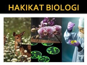 HAKIKAT BIOLOGI RUANG LINGKUP BIOLOGI Biologi Bios hidup