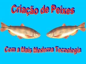 Peixes fitoplanctófagos