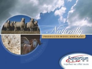 OPTIONS Buy Shares in Konsortium Rent land livestock