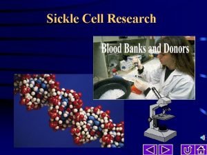 Sickle Cell Research Research Topics Hydroxyurea Bone Marrow
