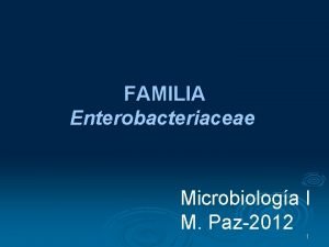 FAMILIA Enterobacteriaceae Microbiologa I M Paz2012 1 Enterobacteriaceae