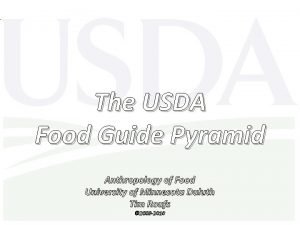 Current usda food pyramid