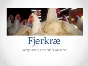 Fjerkr Tamfjerkr vi anvender i kkkenet Generelt Fjerkr