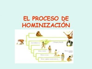 Características de los homo erectus