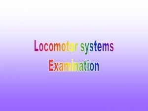 Locomotor examination