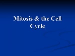 Mitosis the Cell Cycle Cell Growth Development Are