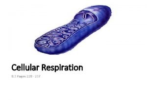 Cellular Respiration 8 3 Pages 228 237 CELLULAR