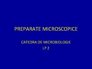 Preparate microscopice