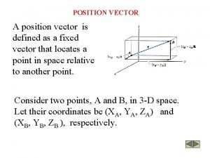 Position vector definition