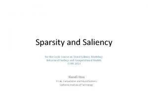 Sparsity and Saliency for the Crash Course on