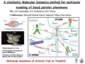 A stochastic Molecular Dynamics method for multiscale modeling