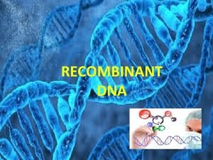 RECOMBINANT DNA Introduction Definition Steps Applications INTRODUCTION Recombinant