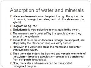 Absorption of water and minerals Water and minerals