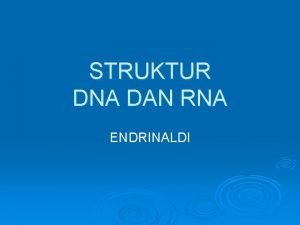 STRUKTUR DNA DAN RNA ENDRINALDI ASAM NUKLEAT Asam