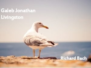 Richard bach galeb jonathan livingston
