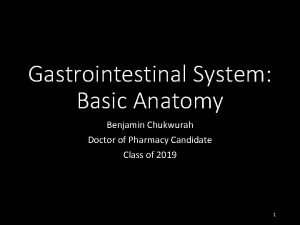 Gastrointestinal System Basic Anatomy Benjamin Chukwurah Doctor of