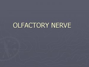 First and second cranial nerves First and second cranial nerves