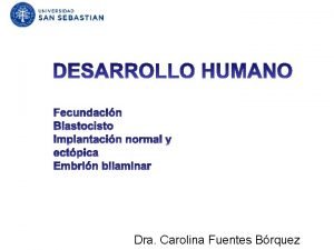 Desarrollo embrionario