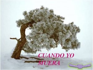 Cuando yo me muera no quiero que llores