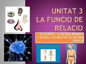 Aparat locomotor