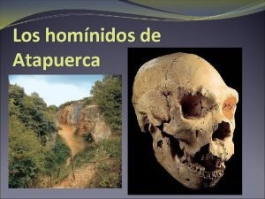 Los homnidos de Atapuerca Sierra de Atapuerca Situada