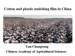 China plastic mulching sheet