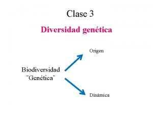 Clase 3 Diversidad gentica Origen Biodiversidad Gentica Dinmica