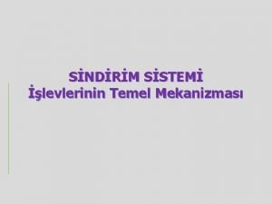 SNDRM SSTEM levlerinin Temel Mekanizmas Karbonhidrat ve yalarEnerji