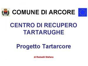 Tartaruga elettrica legnano