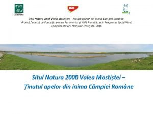 Situl Natura 2000 Valea Mostitei inutul apelor din