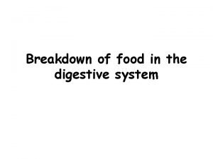 Breakdown of food in the digestive system Digestive