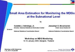 Small Area Estimation for Monitoring the MDGs at