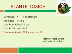 Plante toxice pentru om