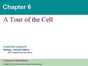 Chapter 6 A Tour of the Cell Power