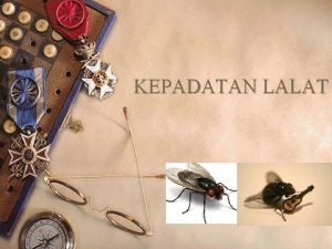 Cara mengukur kepadatan lalat