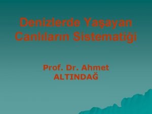 Denizlerde Yaayan Canllarn Sistematii Prof Dr Ahmet ALTINDA