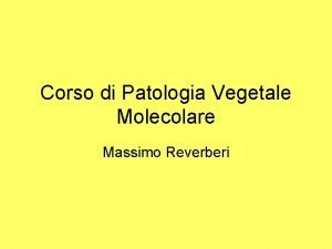 Corso di Patologia Vegetale Molecolare Massimo Reverberi Organizzazione